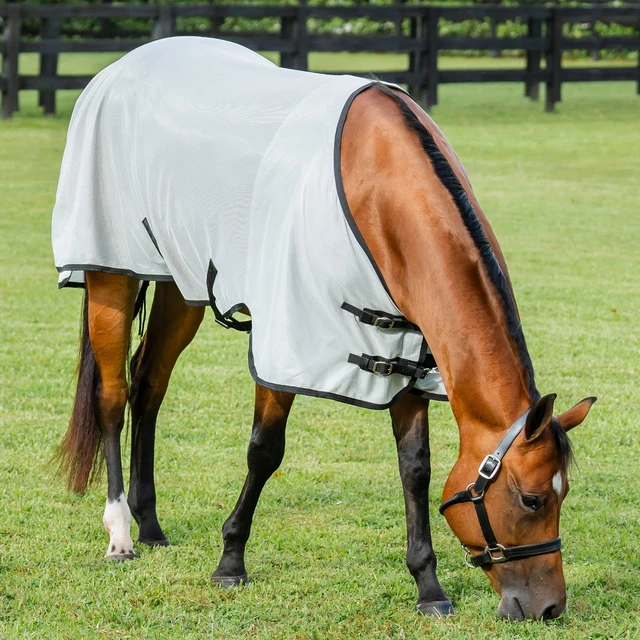 81 SmartPak Classic Turnout Sheet, Navy/Mint, NEW IN BAG