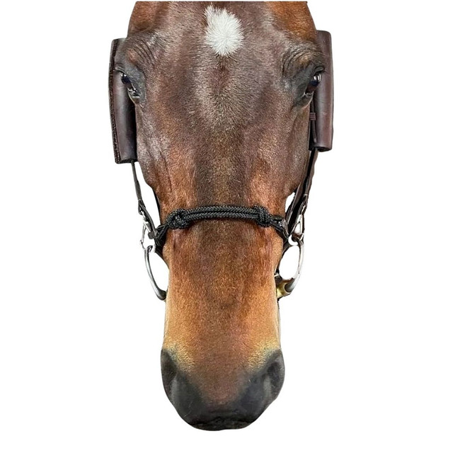 English Bridle Parts & Accessories - MarysTack.com