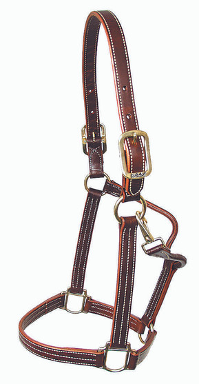 Mary's British Leather Halter with Solid Brass Hardware HAVANA