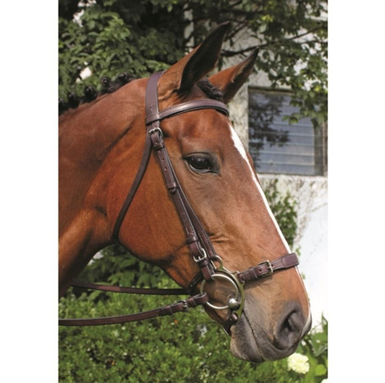 Nunn Finer Adjustable Lever Noseband
Havana