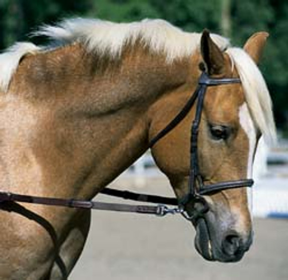 Nunn Finer Elastic Side Reins - Pony
palomino