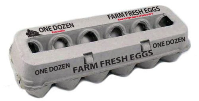 Cardboard Egg Carton