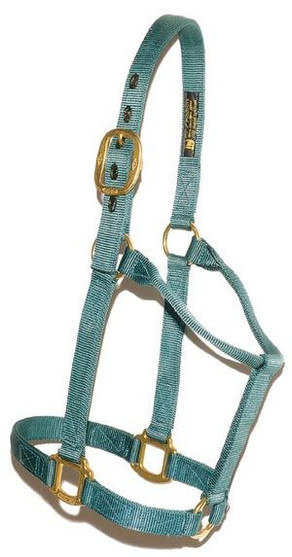 Big D Nylon Draft Halter special order color