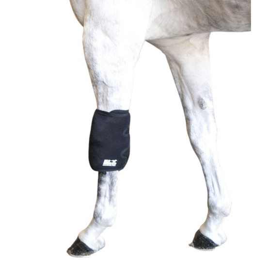 Ice Horse Knee Wraps - SINGLE on horse