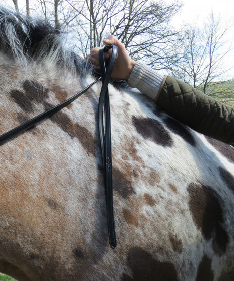 Dy'on Rolled Flat Reins