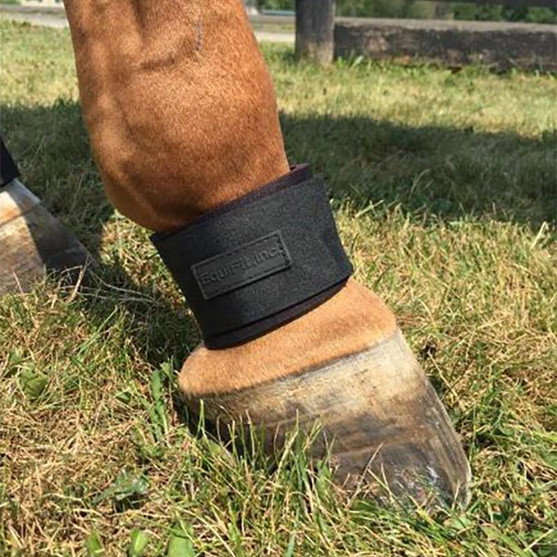 EquiFit Pastern Wrap on horse