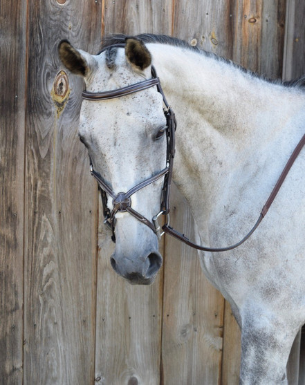 Black Oak Cedar Figure 8 Bridle front