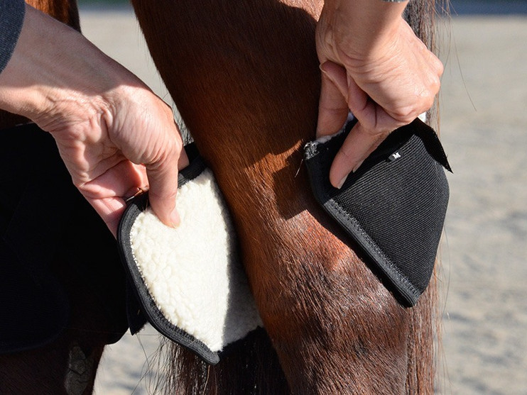 Click Hock Shield Ultra- Horse Hock Sore Boots