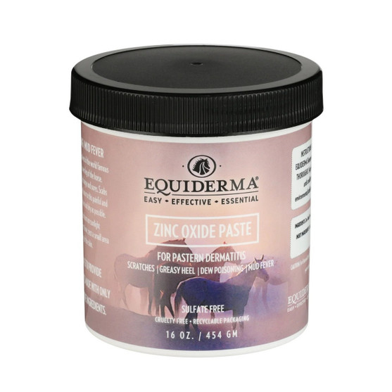 Equiderma Zinc Oxide Paste 16 OZ JAR