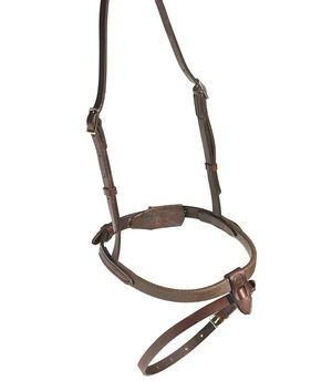 in-horse-we-trust-flash-nose-crown-havana