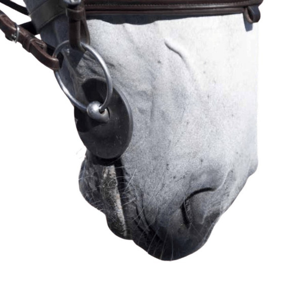 Acavallo Gel Bit Guards