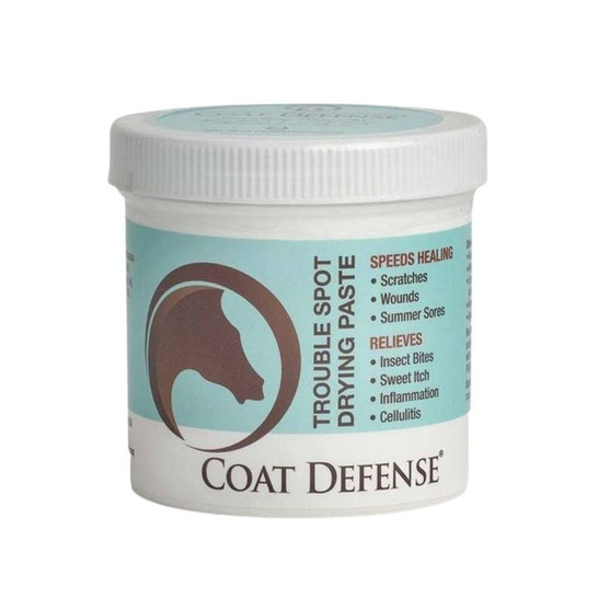 Coat Defense Trouble Spot Drying Paste
24 ounce