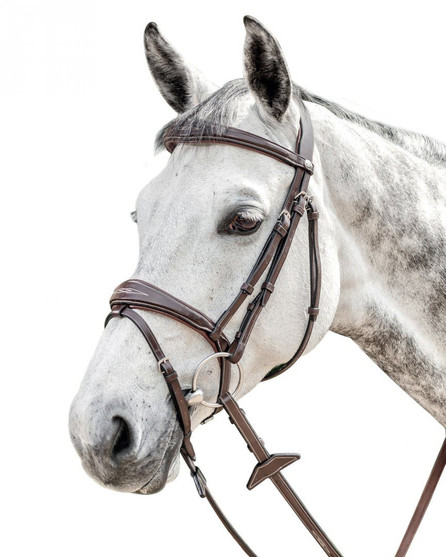 Prestige FS Anatomic Bridle with Flash
Tobacco
Shown with reins, not included