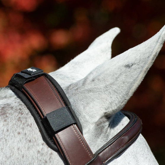 EquiFit ImpacTeq Crown Pad
on bridle