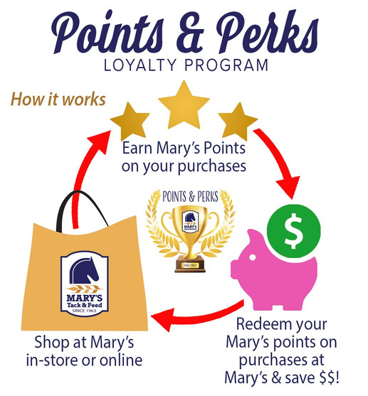 Mary's VIP Points & Perks