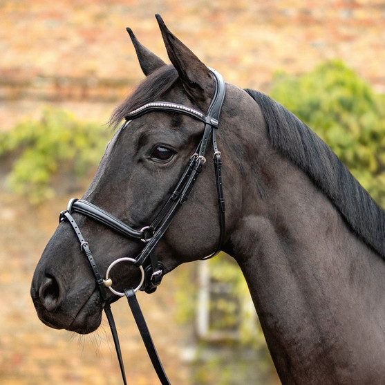 Passier Balance Snaffle Bridle black on horse