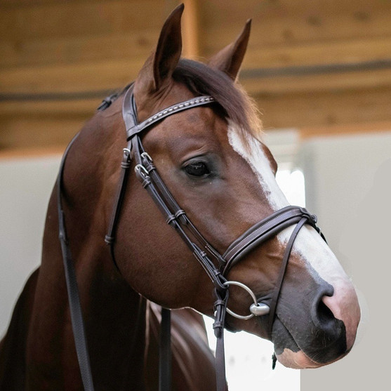 Penelope Daily Snaffle Bridle HAVANA right side