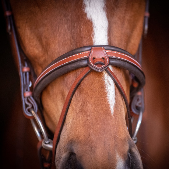 Penelope US Bridle flash noseband front