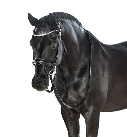 Lara Tweedie AntiGravity Snaffle Bridle BLACK angle