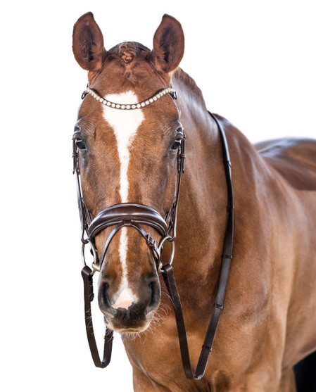 LT Essential Snaffle Bridle HAVANA front