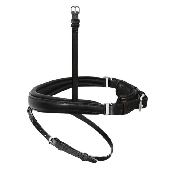 Passier Exchangeable Cavesson Special + Flash