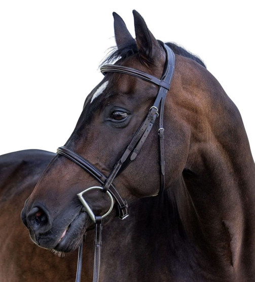 Vespucci New Plain Raised Hunter Bridle SIDE