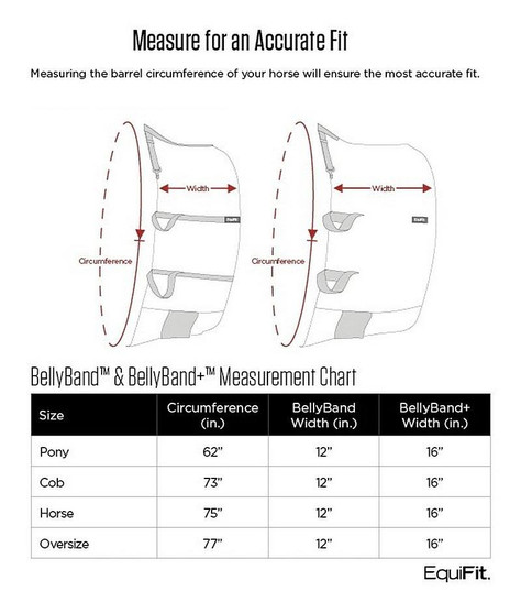 EquiFit BellyBand+ MEASURE & SIZE INFO