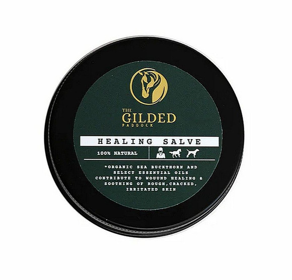 Gilded Paddock Healing Salve