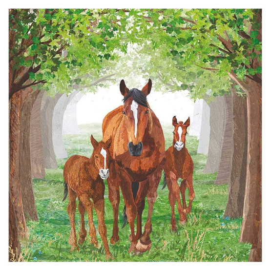 Timberland Paper Beverage Napkins