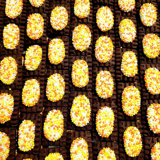 EQC Halloween Poptart Horse Cookies CANDY CORN