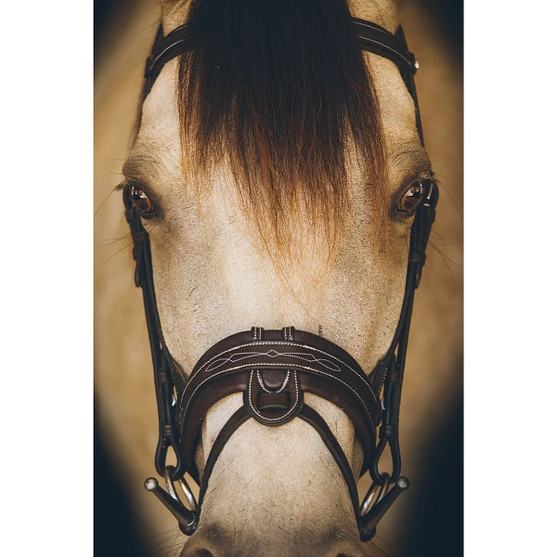 Riviera Equisports Riviera Flash Bridle WITH FLASH