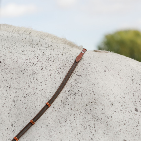 CommonWealth Steady Feel Rein BROWN