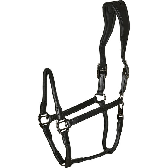 Catago Rolled Leather Halter