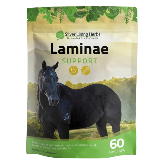 Silver Lining Herbs Equine Laminae Support 1 LB FRONT