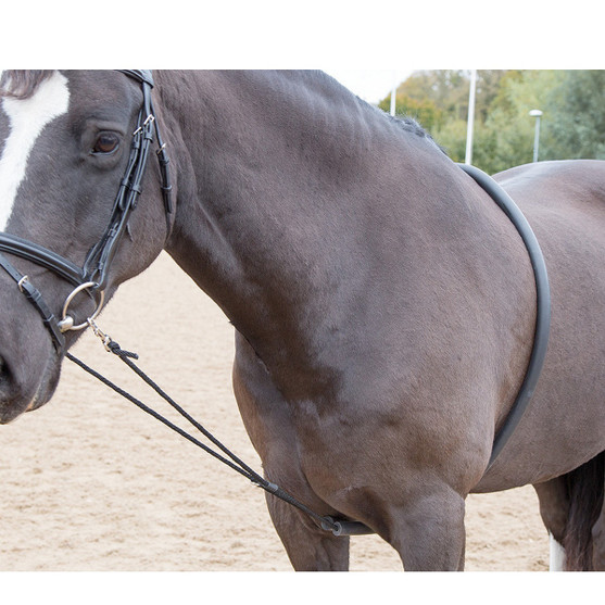 Shires Soft Lunging Aid
