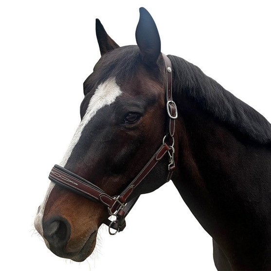 Allon Show Halter LEFT