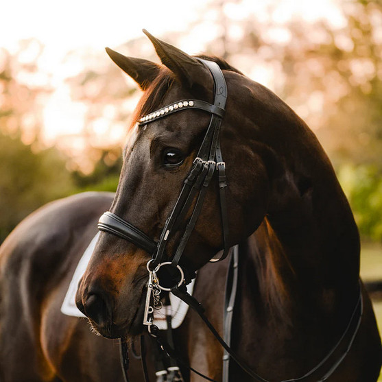 Lumiere Athens Luxury Double Bridle BLACK