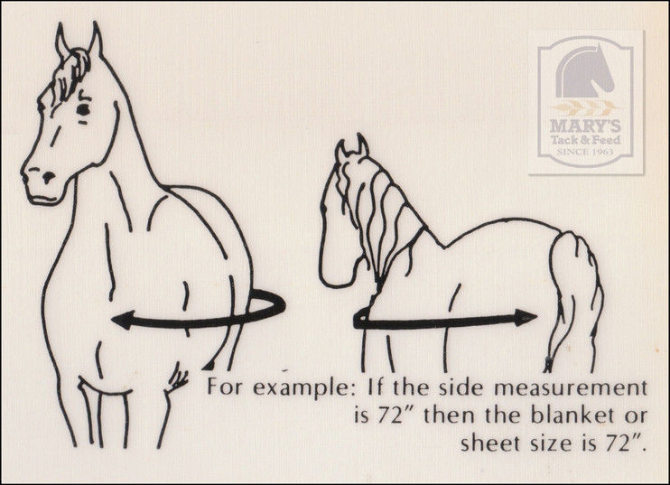 Mary's blanket measure infographic
