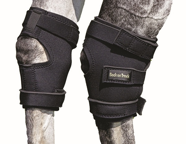 Back on Track Hock Boots
on horse