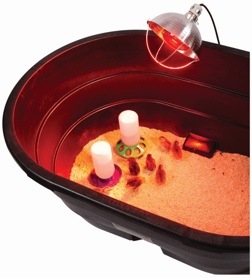 Brooder Reflector Lamp in use w/ red bulb, all sold separately