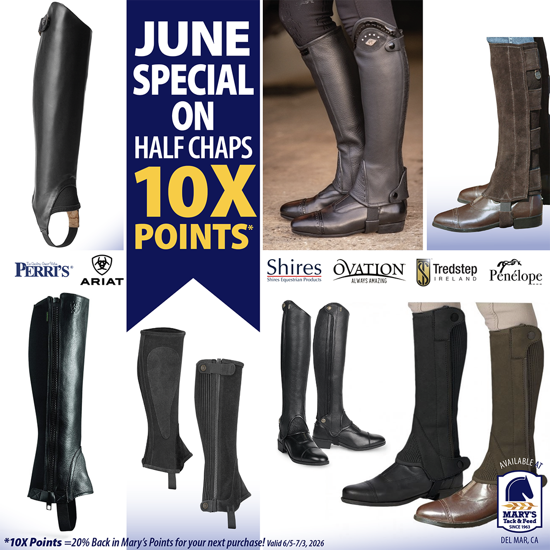 Equestrian Half Chaps 10X Points at Marys Tack Shop