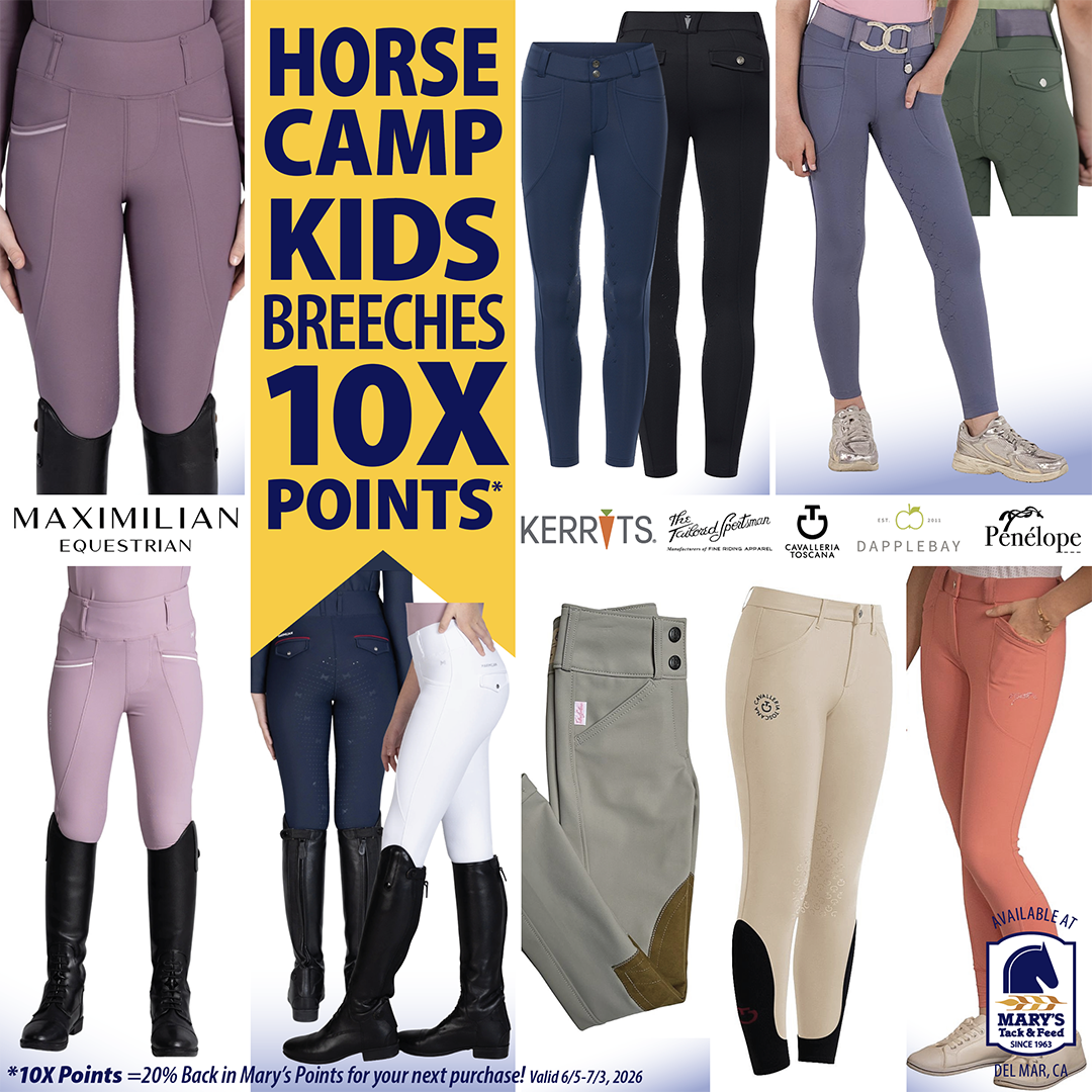 Equestrian Kids Breeches 10X Points at Marys Tack Shop