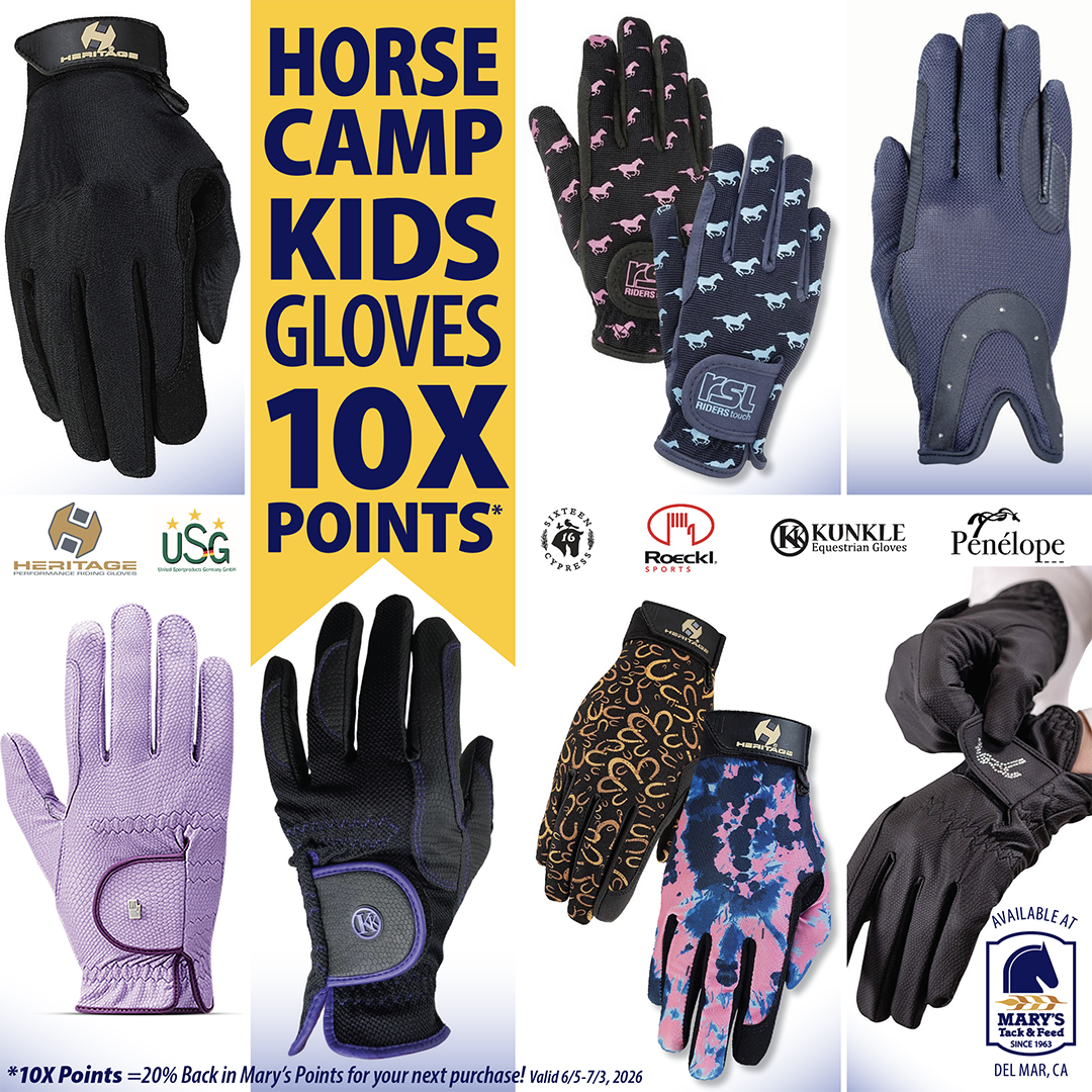 Equestrian Kids Gloves 10X Points at Marys Tack Shop