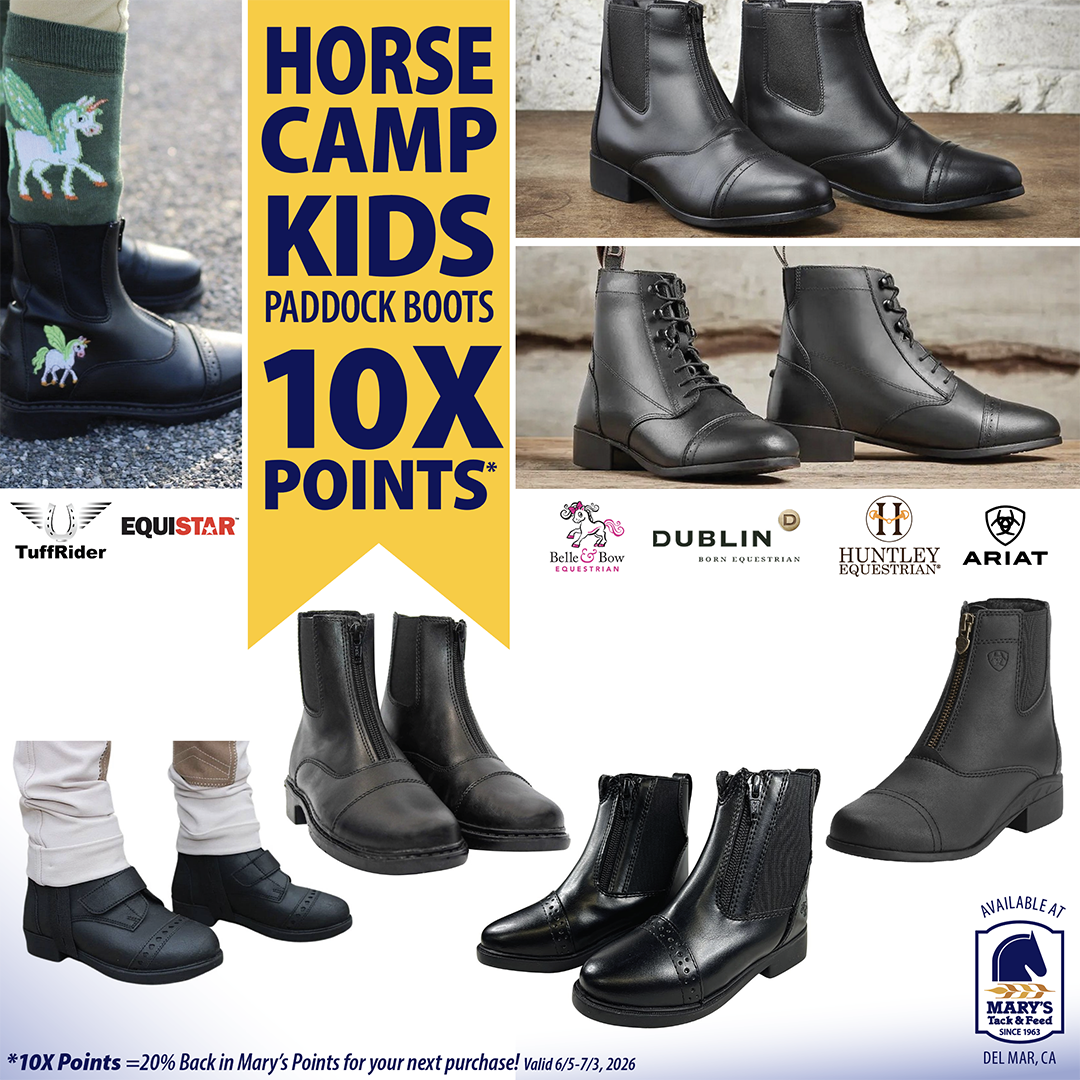 Equestrian Kids Paddock Boots 10X Points at Marys Tack Shop