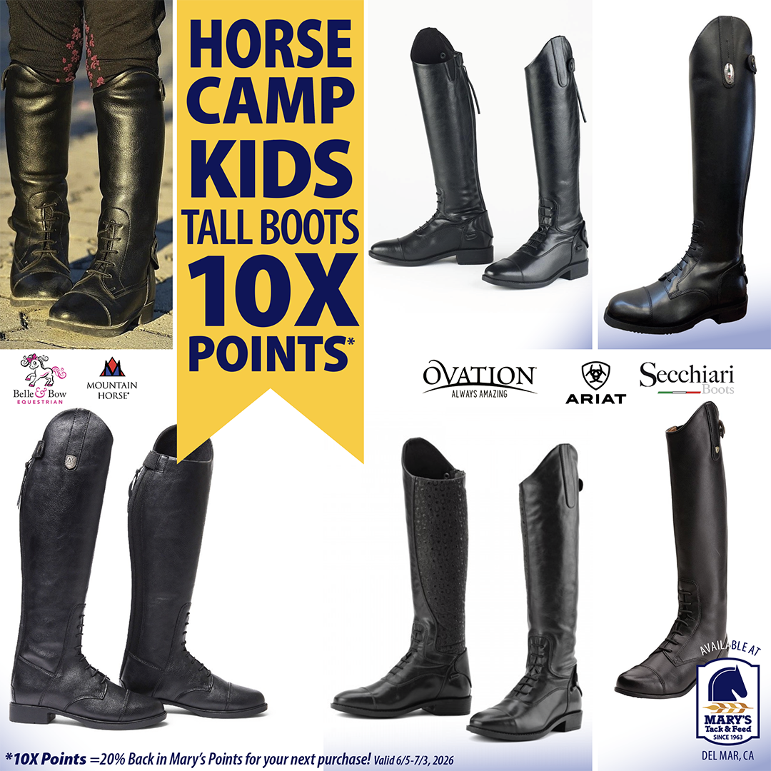 Equestrian Kids Tall Boots 10X Points at Marys Tack Shop