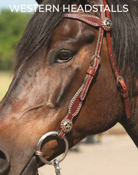 Gorgeous Western Headstalls