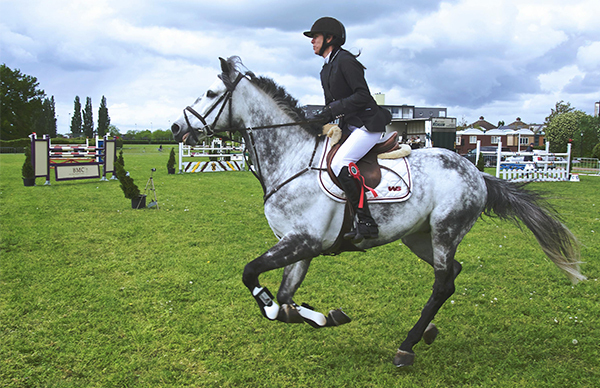 AXOS Business Banking-High Yield Savings for Hunter-Jumper Events