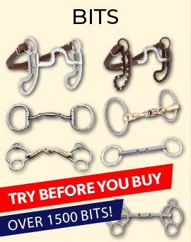 Best selection of horse bits