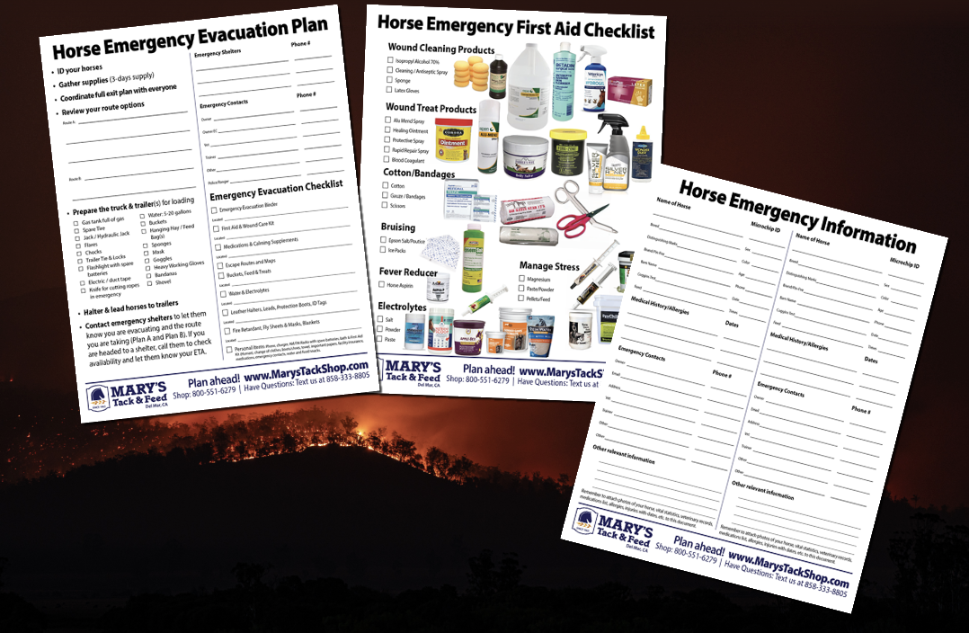 Equine Emergency Evacuation Checklist