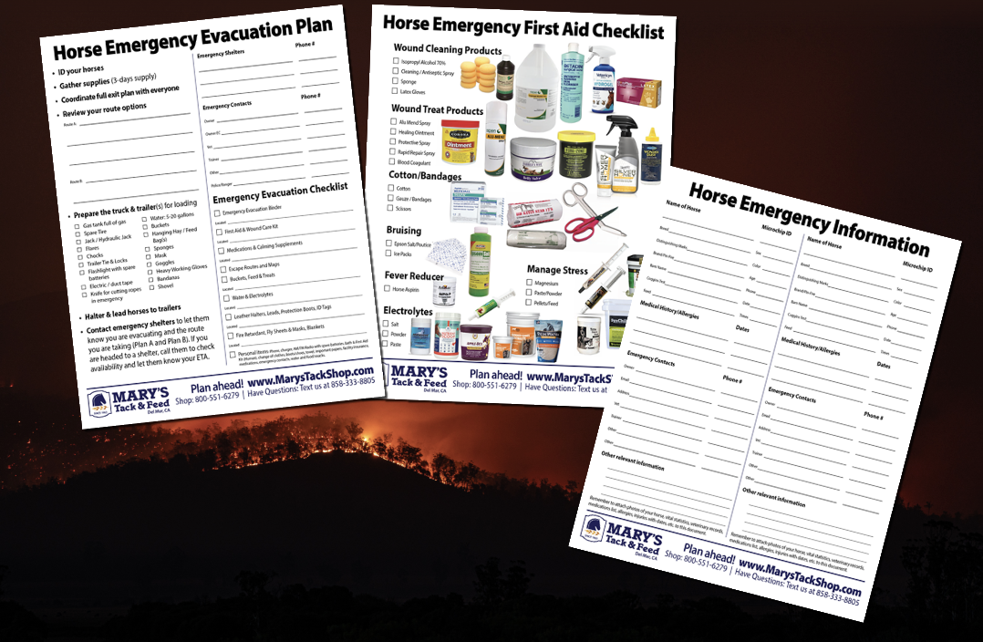 Equine Emergency Evacuation Checklist Equine Emergency Evacuation Checklist